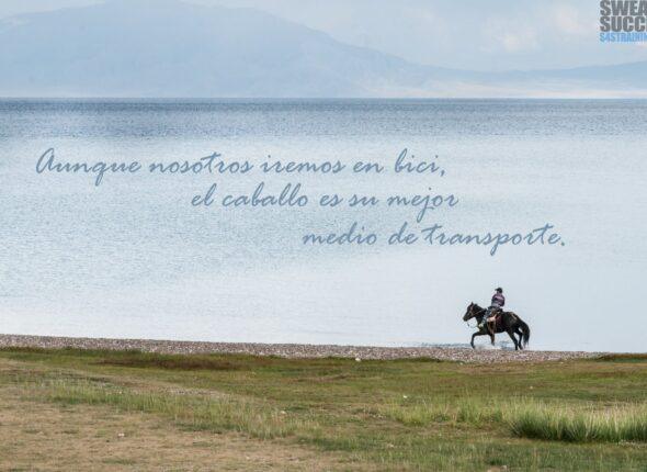 pistacaballotransporte