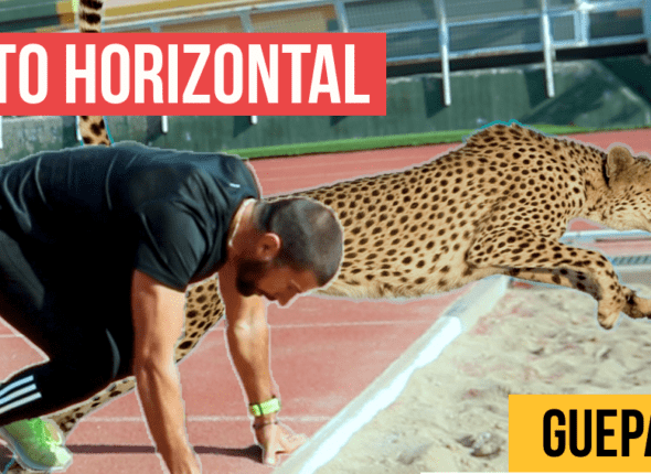 SALTOS GUEPARDOS