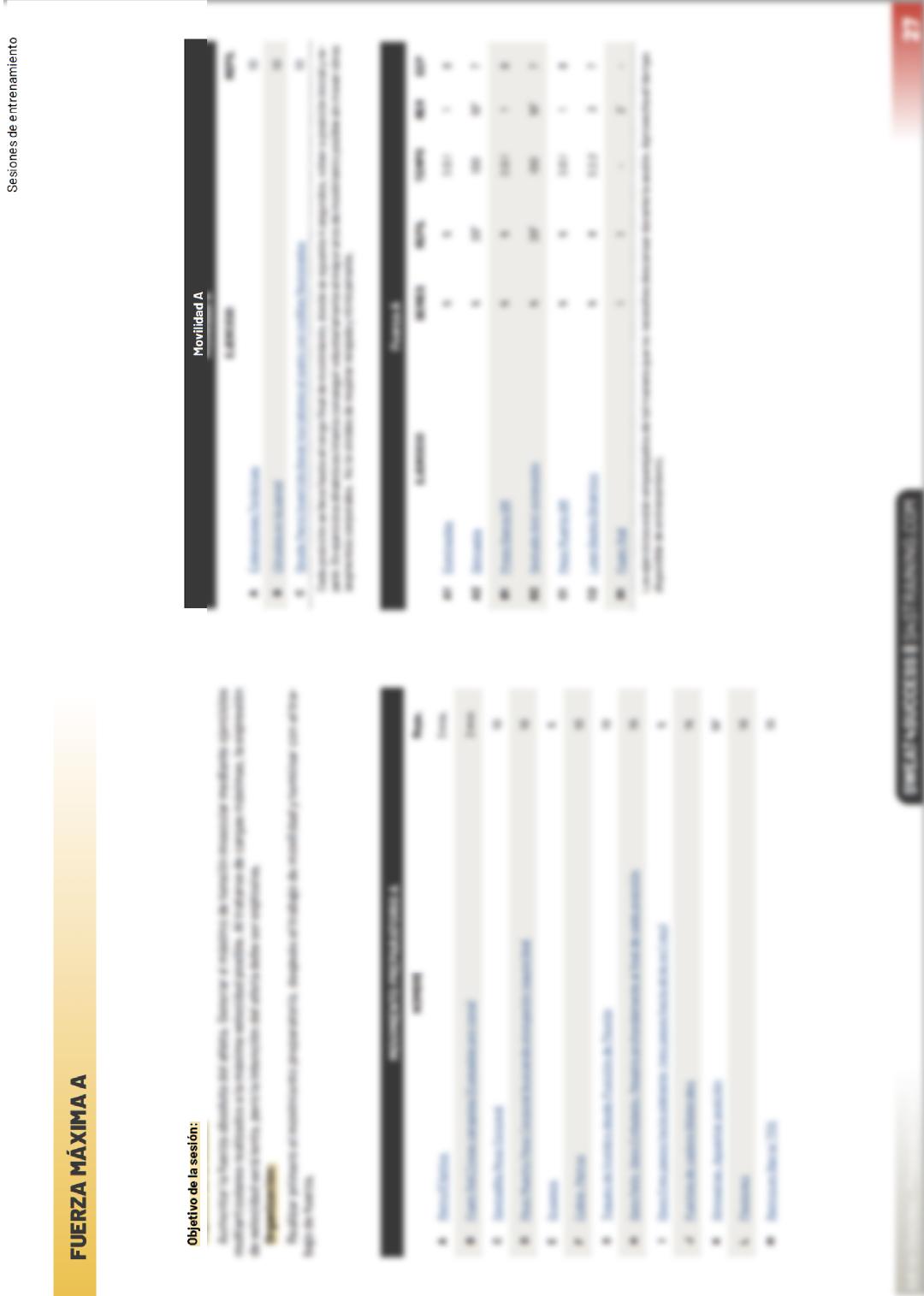 Entrenamiento de Lanzamiento balón medicinal: 4 semanas - Imagen 4